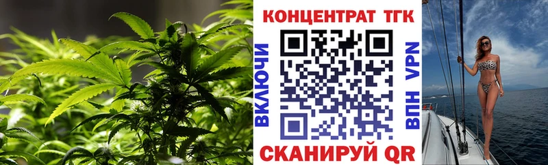 ТГК Wax  Мезень 